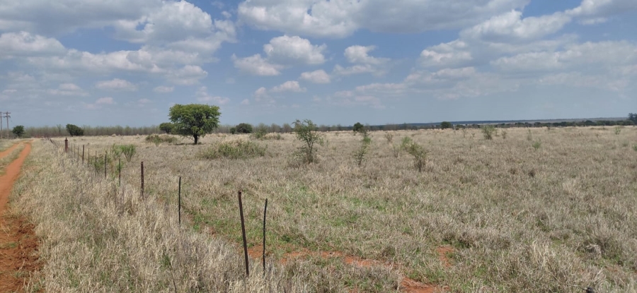 Commercial Property for Sale in Schweizer Reneke North West